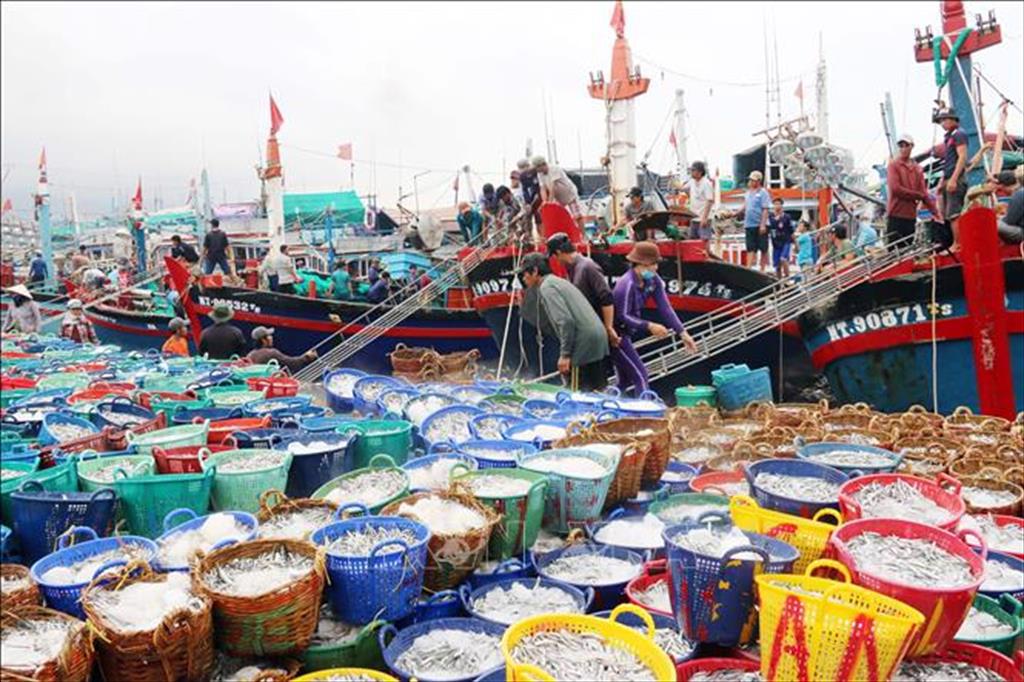 Approving the Vietnam Fisheries Development Strategy to 2030, with a vision to 2045